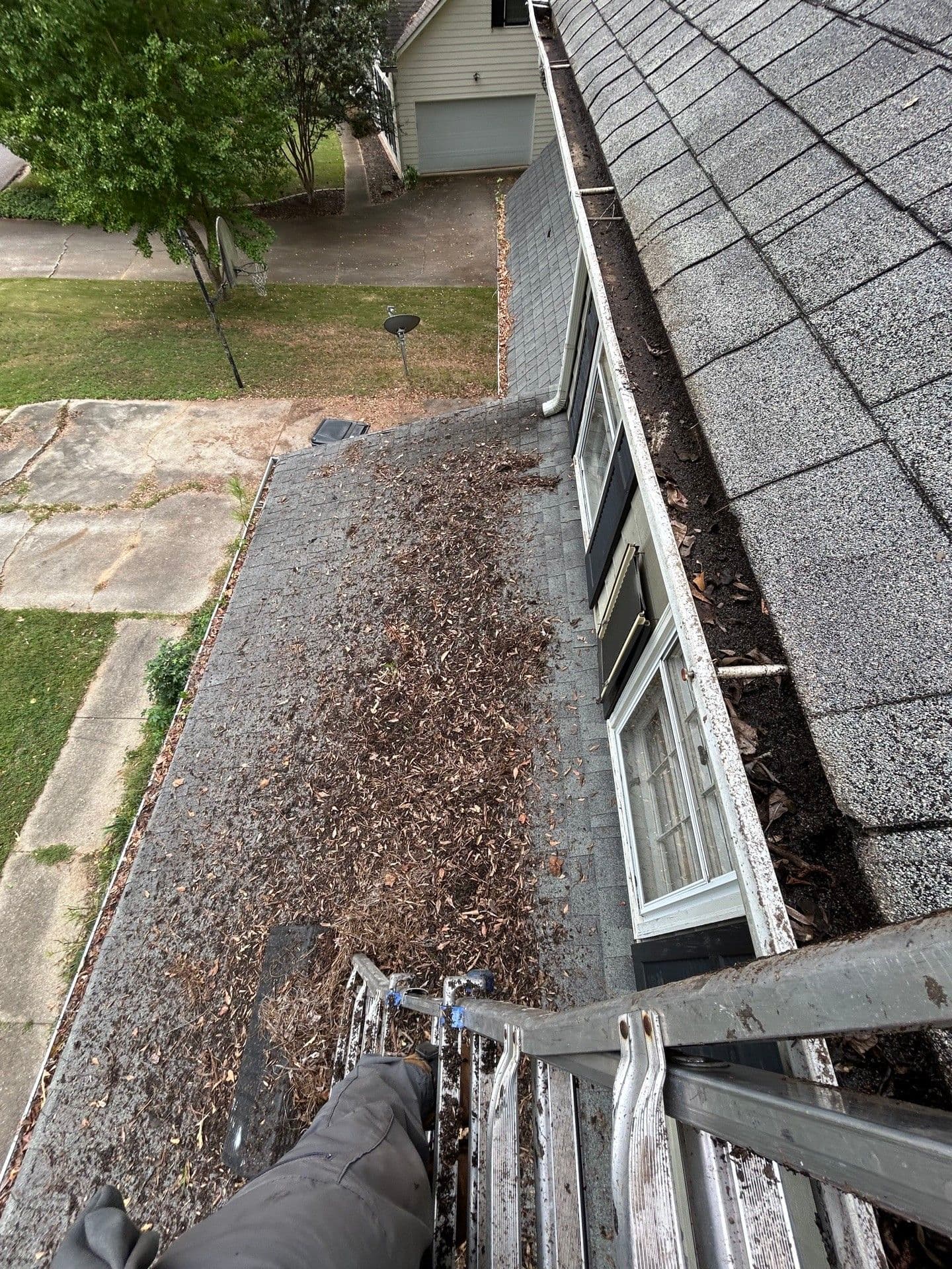 Blog post Why Granules in Your Gutters Are a Major Warning Sign - Zenith Roofing image