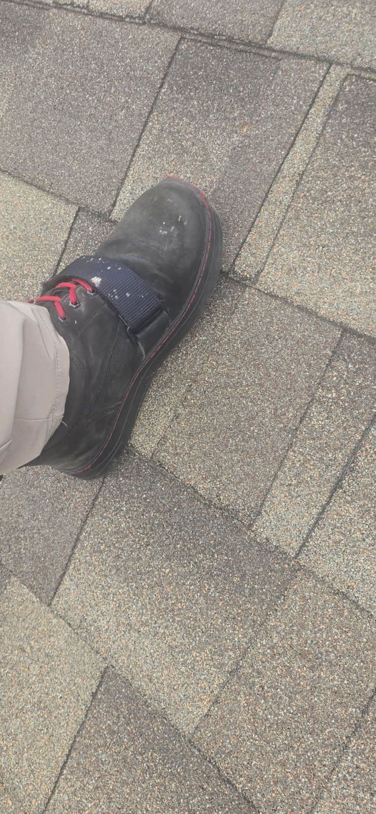 Project Preserving Quality with Classic Elk Prestique Grande Shingles image